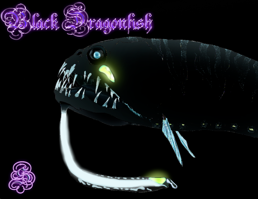 A black dragonfish referenced from a children&#39;s science magazine I was subscribed to.