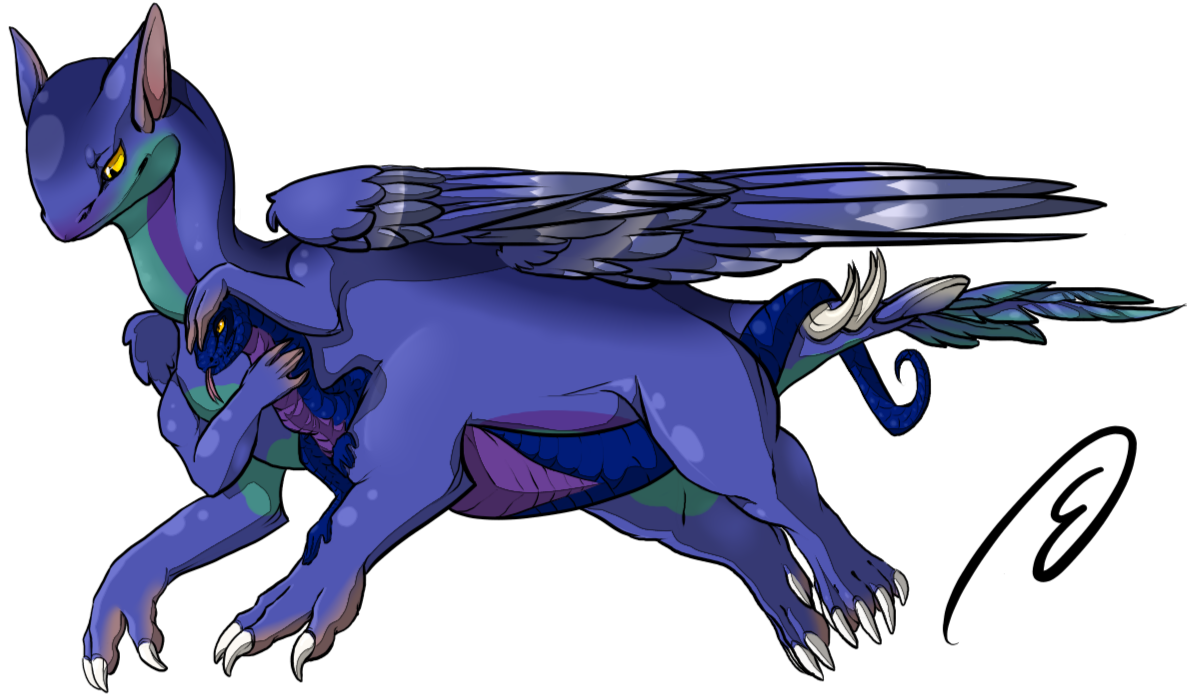 Commission for Tashrin