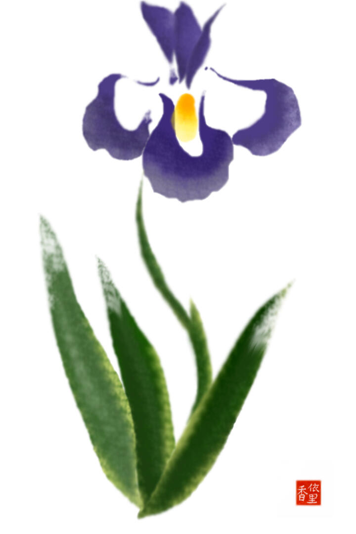 An iris in a mock-up sumi-e attempt