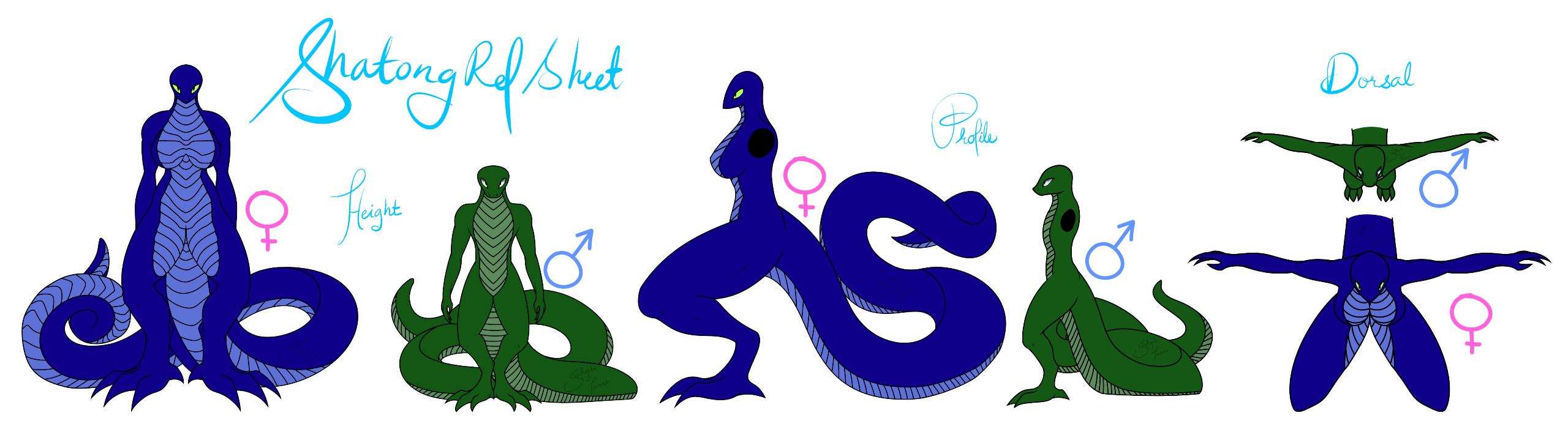 Commission for Tashrin of a reference sheet of his Shatong species