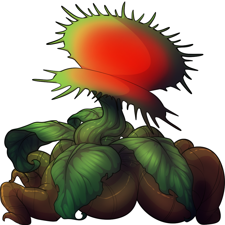 A venus flytrap
