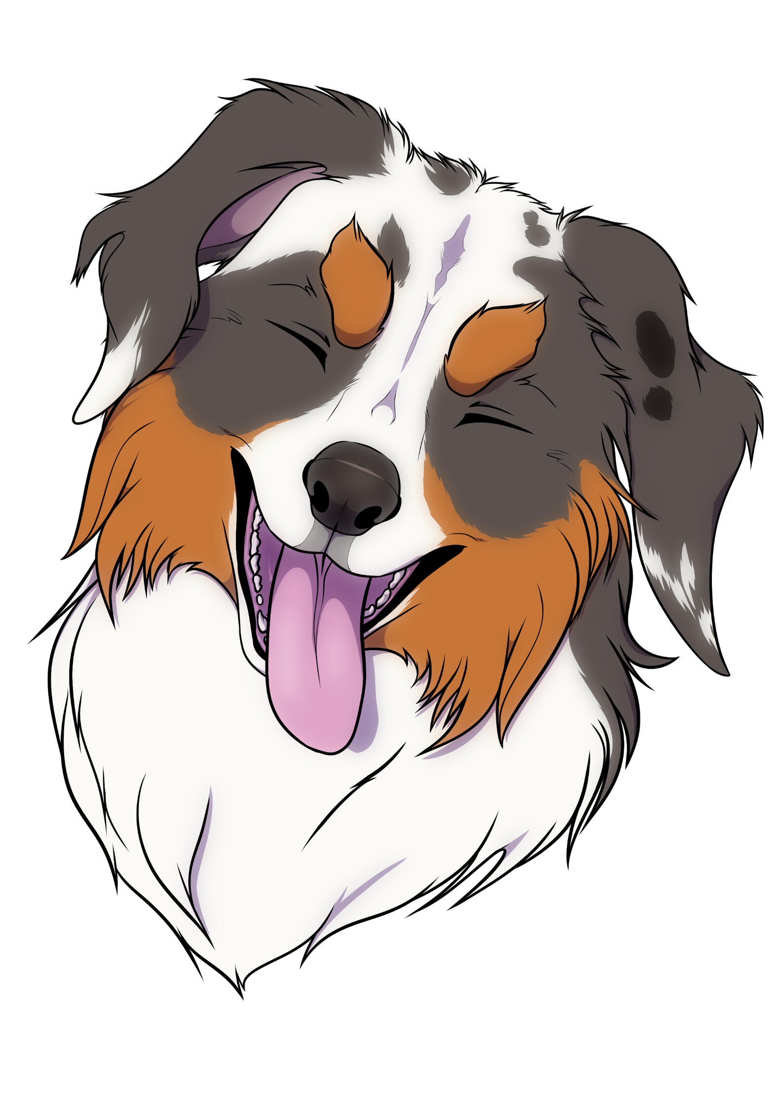 An Australian Shepherd