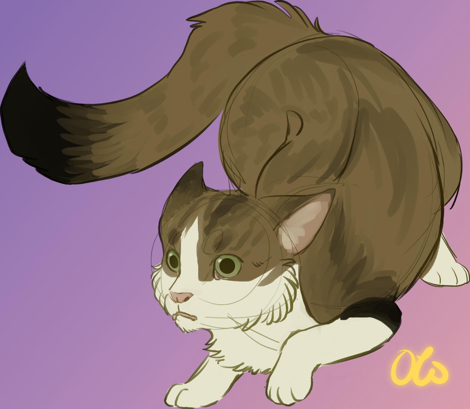 Patreon reward for Spiders of a cat