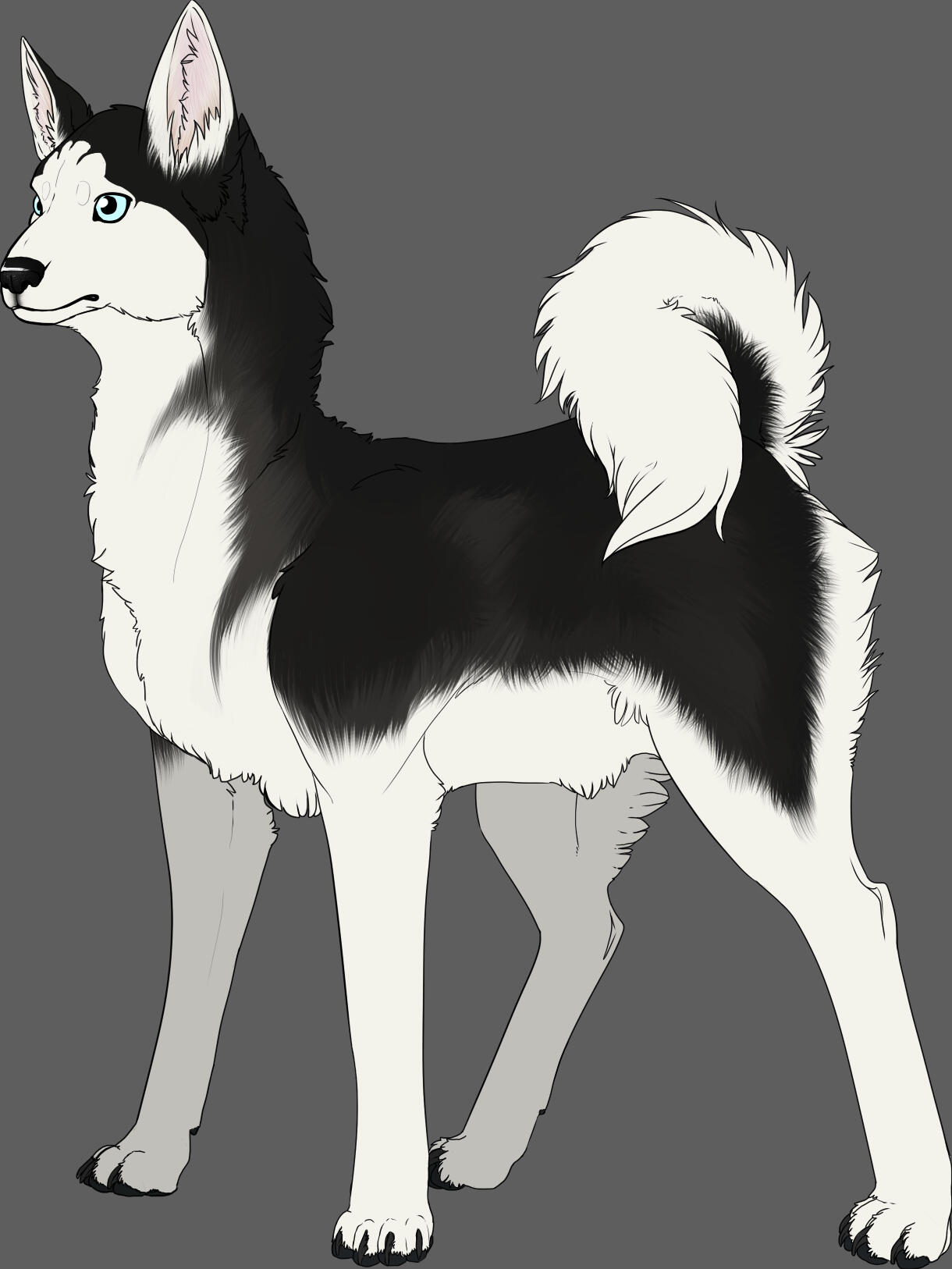 Commission for someone of their lost dog